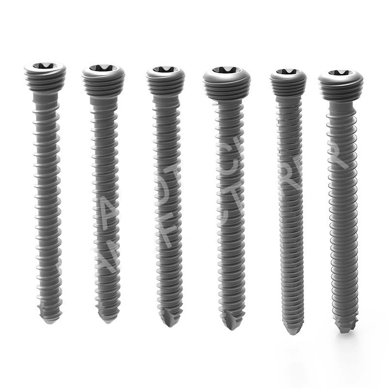 Pure Titanium Locking Screw System