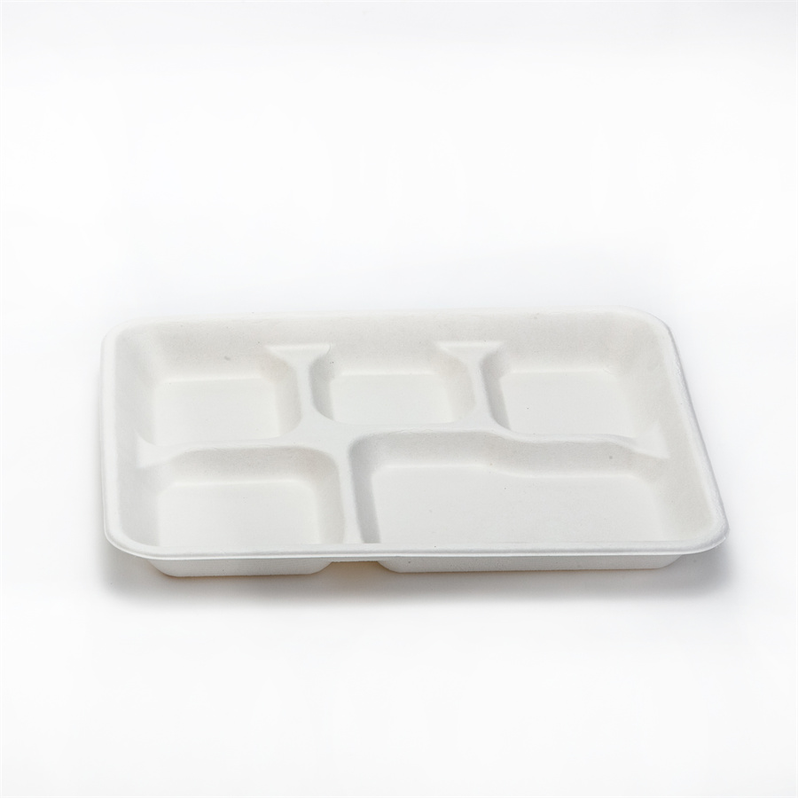 Biodegradable eco-friendly compostable disposable bagasse food container