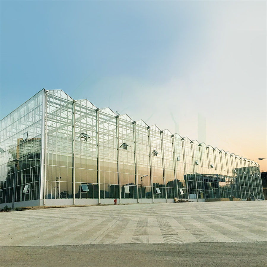 Glass greenhouse Venlo & Gothic