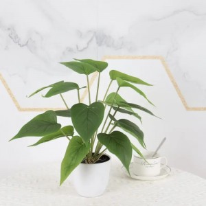 Sweet Potato Leaves Anthurium Leaf Leading Manufacturer of Waterproof Calla Lily Leaf