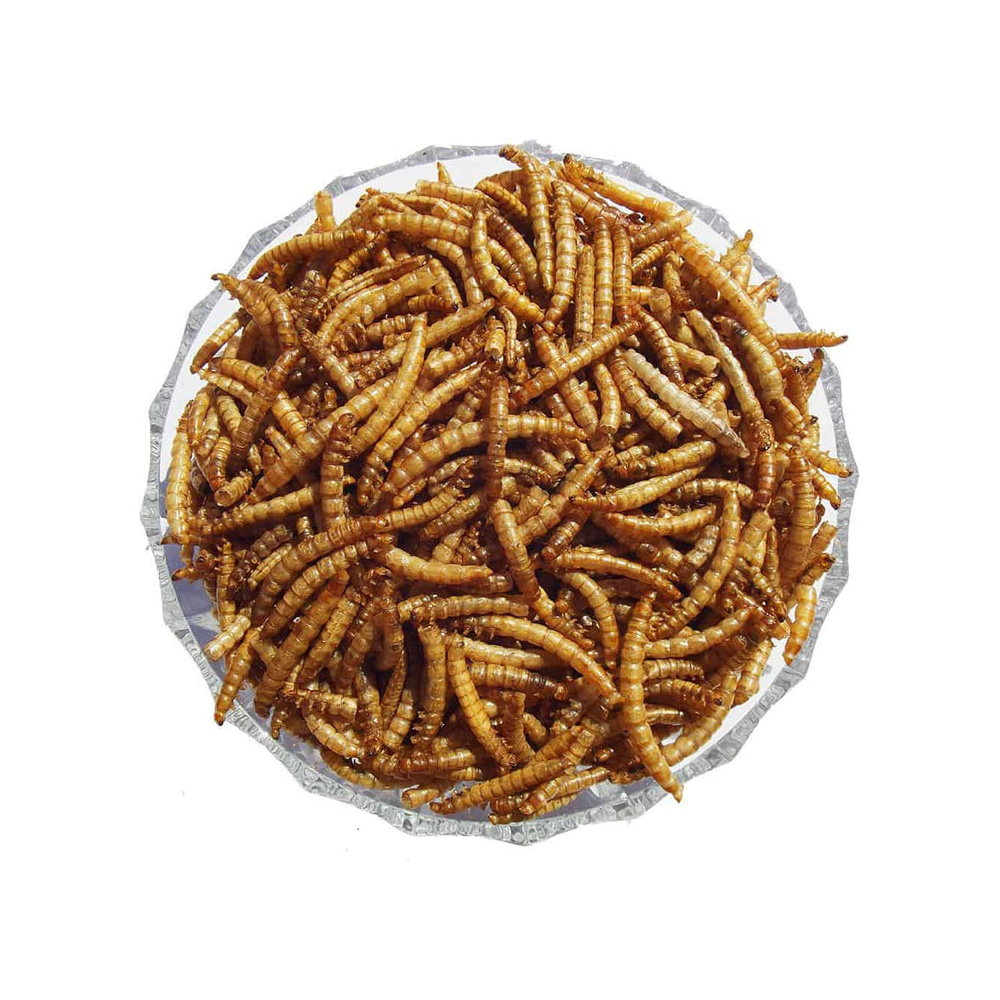 Bird Dried Mealworm Topping